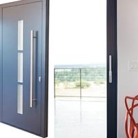 Modern Door Colors Cartaz