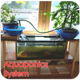 Icona Aquaponics System