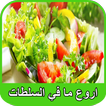 اروع السلطات | Arwaa Salatat