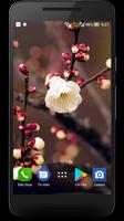 Wallpapers iPhone 8 - Art OS11 syot layar 2