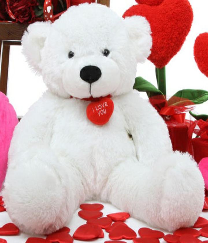 Featured image of post Teddy Day Images Download / Happy teddy bear day is celebrated massively by girls because they take the time out of their busy lives to acknowledge the bond they have with their owned teddy bears.