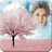 Art Picture Frames APK