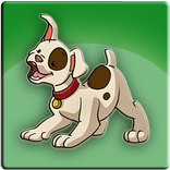 Mengenal Jenis Anjing dari A-Z