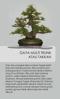 Bonsai اسکرین شاٹ 2