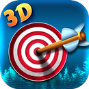Archery Master - King Of Shooting Bow Puzzle Games APK