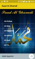 Saad Al Ghamdi Juz Amma ảnh chụp màn hình 1