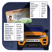 Car Registration & Driving Licence Info
