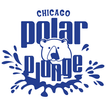 Chicago Polar Plunge
