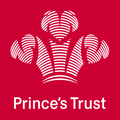 Palace to Palace Fundraising