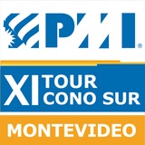 XI Congreso PMI icon