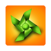 Icona Origami Instructions