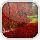 Autumn Leaves in Water icon