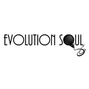 Evolution Soul APK