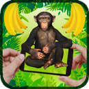 Jungle Chimp AR APK