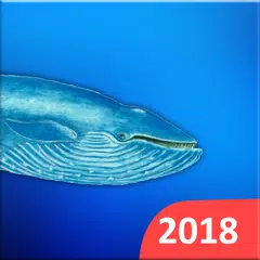 Blue Whales 2018 アプリダウンロード