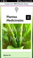 Cultura Maya Plantas-poster