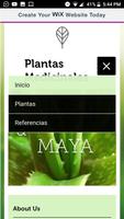 Cultura Maya Plantas capture d'écran 1