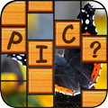 Guess the Picture