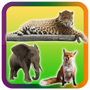Wild Animals Pictures Puzzle aplikacja