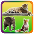 Wild Animals Pictures Puzzle আইকন