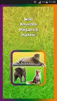 Wild Animals Pictures Puzzle পোস্টার