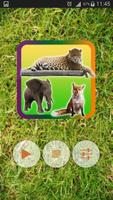 Wild Animals Pictures Puzzle স্ক্রিনশট 1