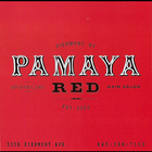 PAMAYA RED SALON icône
