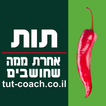 שוש ליסון