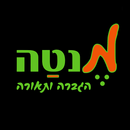 מנטה הגברה ותאורה APK