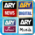ARY TV Network