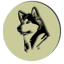 Dog Training Formula APK