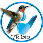 3D VR Humming Bird icon