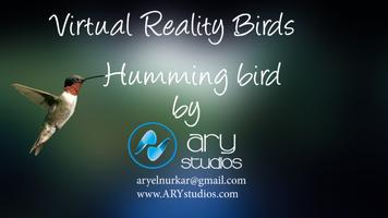 3D VR Humming Bird 海报