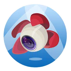 Litchi for DJI Phantom 2 APK 下載