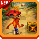 crash bash jungle adventure APK