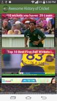 World of Cricket اسکرین شاٹ 3