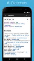 French English Dictionary-poster