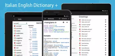 Italian English Dictionary