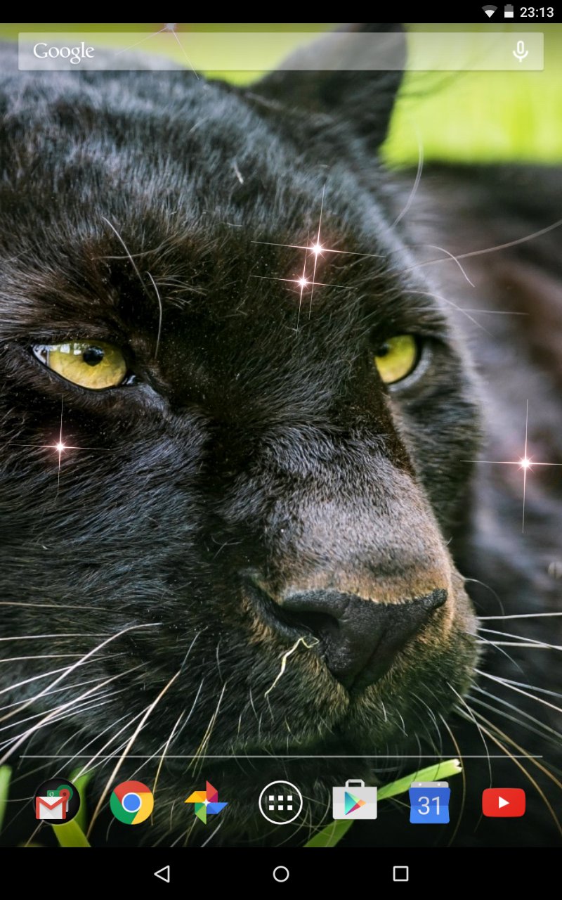 Black panther Live Wallpaper APK for Android Download