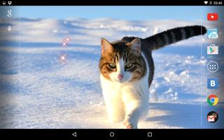 برنامه‌نما Kitten 3D Live Wallpaper عکس از صفحه