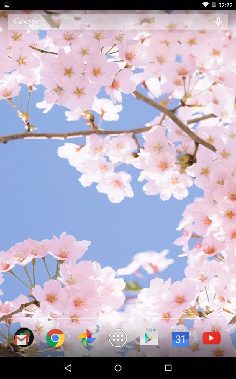 Sakura 3D Live Wallpaper APK for Android Download Sakura 3D Live Wallpaper APK for Android Download