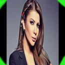 اغانى اصاله نصر 2019 بدون نت حصرى hk APK