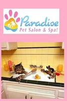 Paradise Pet Salon Chicago โปสเตอร์