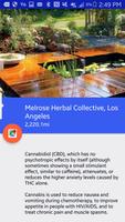 Medical Marijuana Guide: LA Ekran Görüntüsü 3
