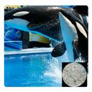 VR Guide: SeaWorld, San Diego APK