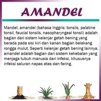 Obat Amandel Alami 海報