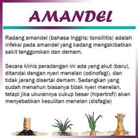 Obat Amandel Alami screenshot 1