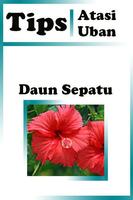 Tips Mengatasi Uban screenshot 1