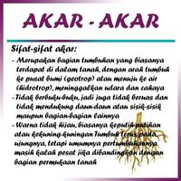 Manfaat Akar-Akar 海報