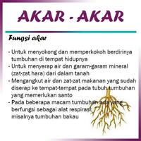 Manfaat Akar-Akar 截圖 3